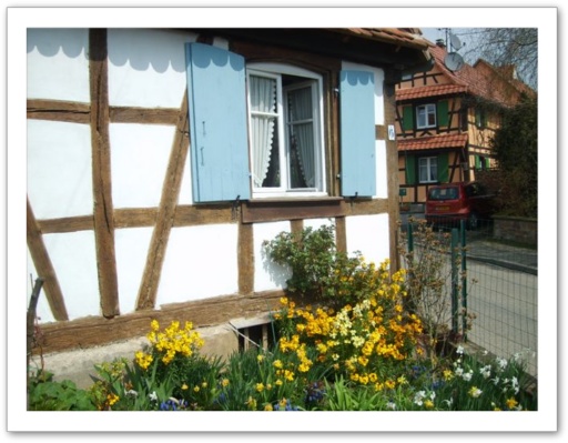 Gite chez Angèle à Berstett en Alsace
