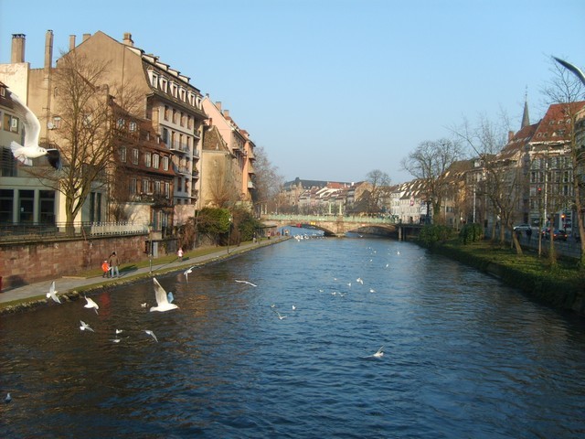 Strasbourg en Alsace Les berges de l'Ill  Tourisme dans le bas-rhin