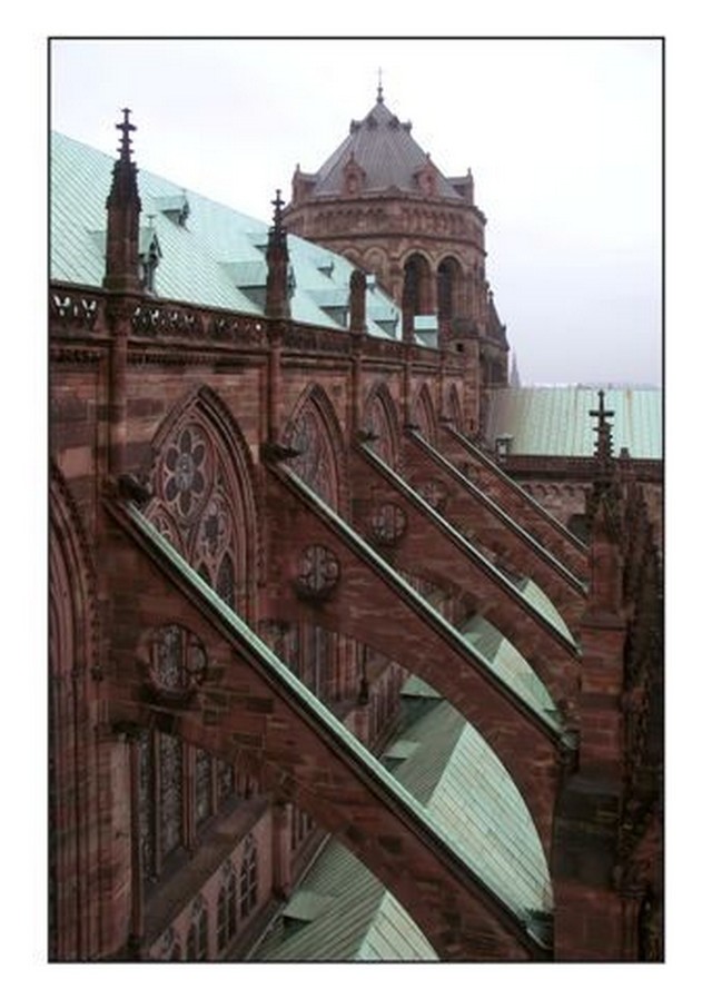 Cathédrale de Strasbourg Les toits de la Cathédrale Alsacienne